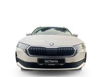 Skoda Octavia - Vorschau Bild 2
