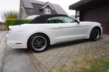 Ford Mustang 2.3 EcoBoost Cabrio - Ford Mustang mit Benzin-Antrieb: Cabrio, Automatik