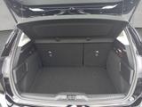 Ford Focus 1.5 EcoBlue Start-Stopp-System Aut. ACTIVE - Ford Focus Active mit Diesel-Antrieb