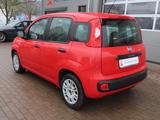 Fiat Panda Easy 1.2 2.Hand*Garantie*Klimaanlage - Fiat Panda: Rot