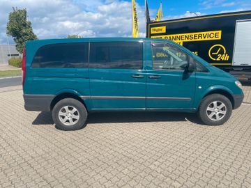 Mercedes Viano - 2