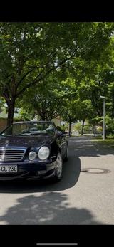 Mercedes-Benz CLK 230 KOMPRESSOR ELEGANCE  - Mercedes-Benz CLK 230: Elegance