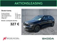 Skoda Kamiq - Vorschau Bild 1