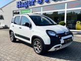 Fiat Panda Waze PDC DAB StartStopp - Fiat Panda aus 2020