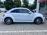 Volkswagen Käfer 1.4 TSI - Volkswagen Käfer Gebrauchtwagen