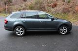 Skoda Octavia Combi Scout 4x4 - Skoda: Combi Scout