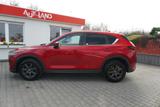 Mazda CX-5 2.0 LED Navi Sitzheizung Android Apple DAB - Mazda Gebrauchtwagen in Leipzig