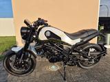 Benelli Leoncino 125, EURO 5  sofort lieferbar - BENELLI LEONCINO 125