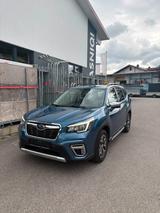 Subaru Forester Trend - Subaru Forester: Trend