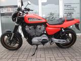 Harley-Davidson XR 1200 / Zubehör / Garantie /NAVI - Angebote