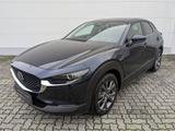 Mazda CX-30 2.5l (140PS) Exclusive Bose Matrix-LED 360 - Mazda: Blau