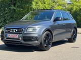 Audi SQ5 3.0 TDI competition quattro Panorama Carbon - Audi SQ5 aus 2017