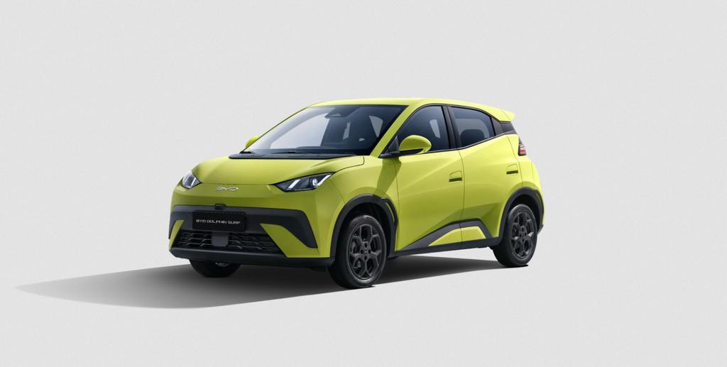 BYD Dolphin Surf Active Navi Kamera ACC
