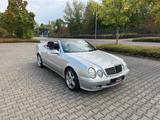 Mercedes-Benz CLK 200 KOMPRESSOR AVANTGARDE/ HU & SERVICE NEU - Mercedes-Benz CLK 200 aus 2001: Kompressor