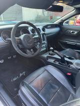 Ford Mustang GT 5.0 V8 | alles eingetragen - gebrauchte Ford Mustang aus dem Jahr 2018