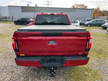 Ford F 150 Lightning Flash gr Batterie in Hamburg+20
