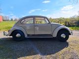 Volkswagen Käfer - VW Gebrauchtwagen von 1965