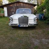 Mercedes-Benz 250 - gebrauchte Mercedes-Benz 250 aus dem Jahr 1967