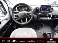 Autohaus Thorwesten Gebrauchtwagen