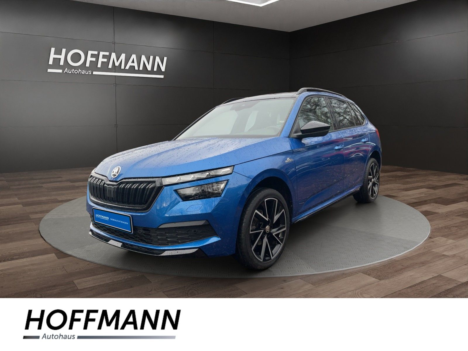 Fahrzeugbild von Skoda Kamiq