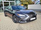 Lexus ES 300h Business Line - Lexus ES-Serie Gebrauchtwagen
