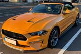 Ford Mustang GT/CS FordGarantie California MagnaRide  - Ford Mustang: Cs