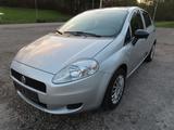 Fiat Punto Actual 1.3 Multijet DPF, 5-türig, Klima - Fiat Punto mit Diesel-Antrieb: 1.3