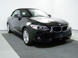 BMW 220d Advantage NAVI PROF+PDC+SHZ+TEMP+BI-XEN - BMW 220 in Hamburg