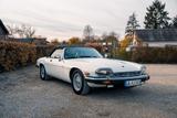 Jaguar XJS V12 Cabrio, wunderschönes Exemplar! - Jaguar: V12