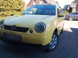 Volkswagen VW Lupo TÜV NEU! Sondermd. Oxford Sitzhzg ... - Volkswagen Lupo: Oxford