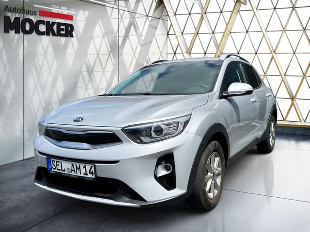 Kia Stonic 1.2 NAVI - SHZ