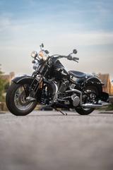 Harley-Davidson Springer Classic 