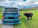 Volkswagen VW T5 Multivan Camper 2.5 TDI, Standhzg, H... - VW T5 Multivan in Wiesbaden
