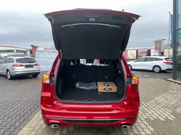 Fahrzeugabbildung Ford Kuga Plug-In Hybrid ST-Line X Spurführungsass.