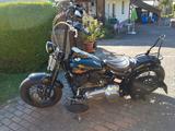 Harley-Davidson Cross Bones  - HARLEY-DAVIDSON CHOPPER CROS BONES