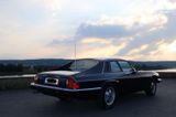 Jaguar XJS H-Zulassung 2.Hd. Deutsch Traumzustand !! - Jaguar aus 1985