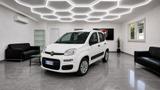 Fiat Panda 1.0 FireFly S&S Hybrid Easy - Fiat Panda EASY mit Hybrid-Antrieb (Benzin/Elektro)
