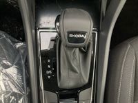 Skoda Karoq - Vorschau Bild 14