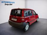 Fiat Panda 1.1 8V Active **ERST 38TKM-TÜV NEU** - Fiat Panda: Active