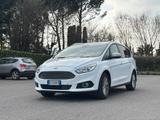 Ford S-Max 2.0 EcoBlue 150CV Start&Stop 7 posti  - Ford: Van, E150