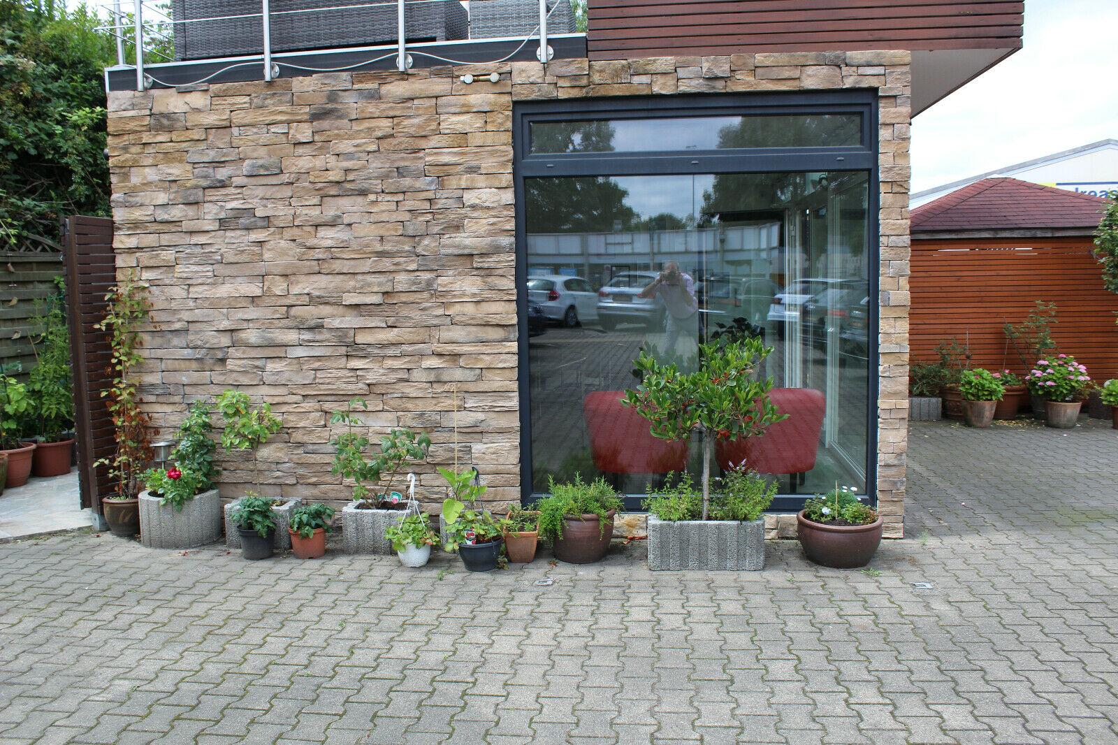 showroom-image-main