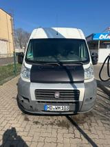 Fiat Auto transporter Fiat Ducato L3 - Fiat: Transporter