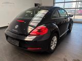 Volkswagen Beetle 1.6 TDI Design STZH/KLIMA /PDC/HU:NEU - Volkswagen Beetle: TDI
