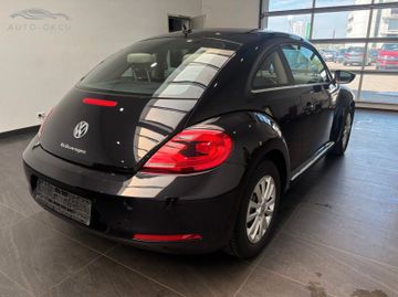 Volkswagen Beetle - 3