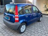 Fiat Panda 1.1 8V Active*Tüv Neu*Insp.Neu*Wenig KM - gebrauchte Fiat Panda aus dem Jahr 2009