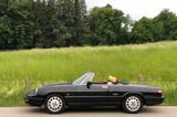 Alfa Romeo Spider - gebrauchte Alfa Romeo Spider aus dem Jahr 1990
