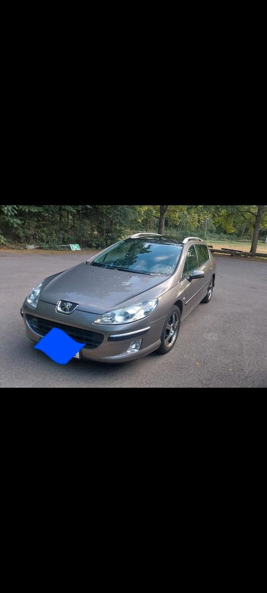 Peugeot 407 2005 — rear view