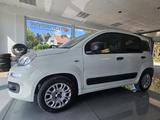 Fiat Panda 1.2 8V Easy (EURO 6d-TEMP), Klima, Zahnrie - gebrauchte Fiat Panda aus dem Jahr 2020