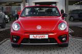 Volkswagen Beetle Cabriolet 2.0 R-Line Klimaaut. LED PDC - Volkswagen Beetle Gebrauchtwagen
