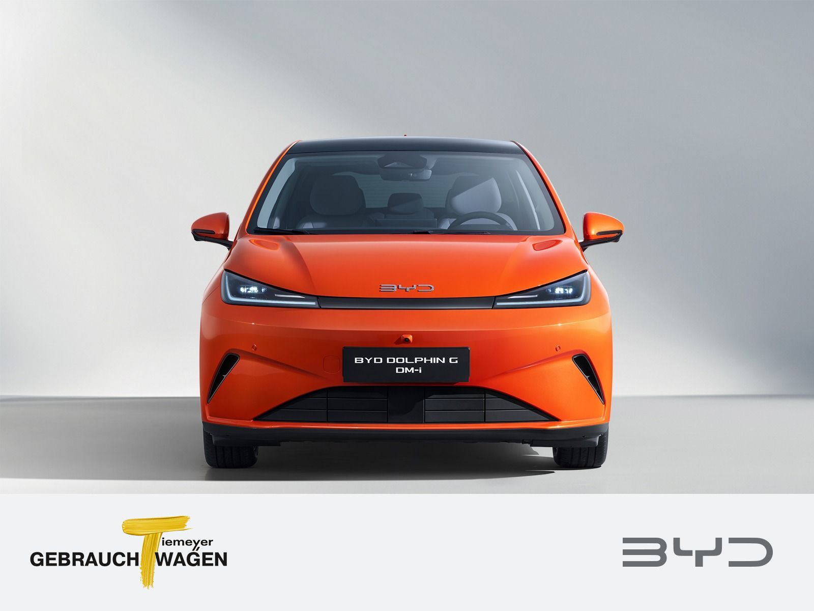 BYD DOLPHIN